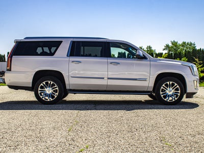 2019 Cadillac Escalade ESV Standard